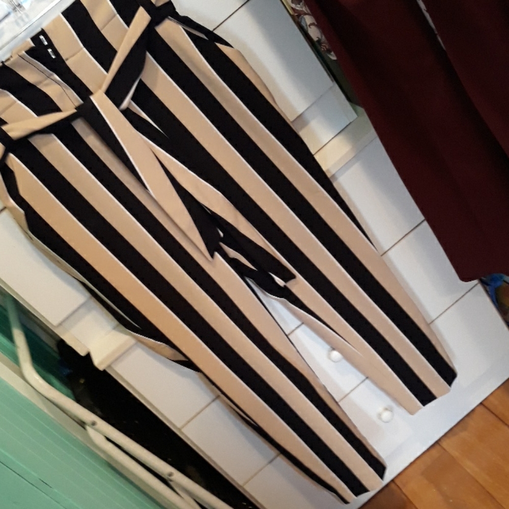 Ladies pants